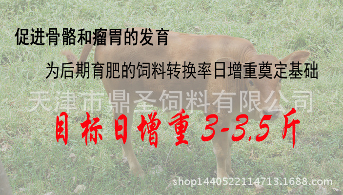 2、育肥牛每天需要多少飼料/肉牛每天吃多少飼料